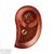 Standard Rosewood Star Grip