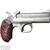 Protect the 2nd Amendment (PT2A)