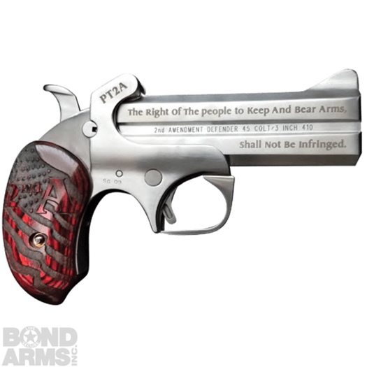 Protect the 2nd Amendment (PT2A)