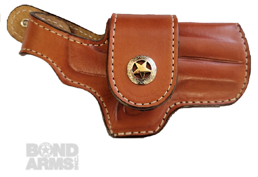 Driving Holster