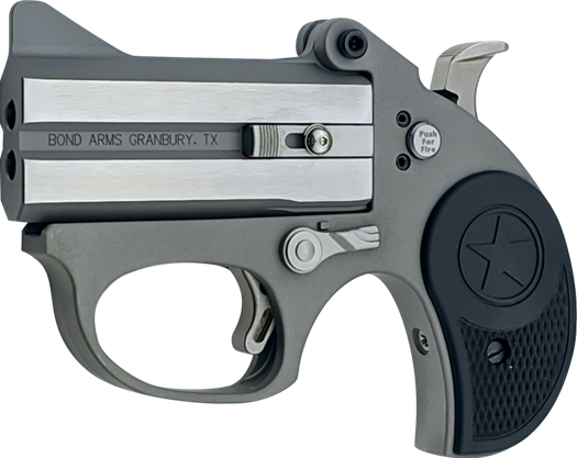 Stinger RS 22LR
