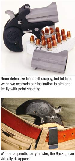 concealedcarryhandguns-2